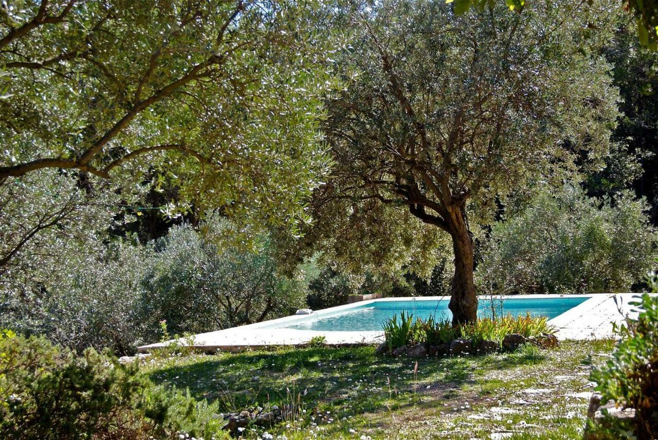 Le Rayol Villa Seillans Exterior photo